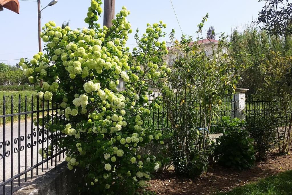 New Village Studios, Preveza A3 Εξωτερικό φωτογραφία